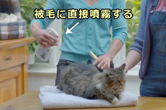 被毛に直接噴霧するタイプの駆除薬は猫が舐め取ってしまうリスク大
