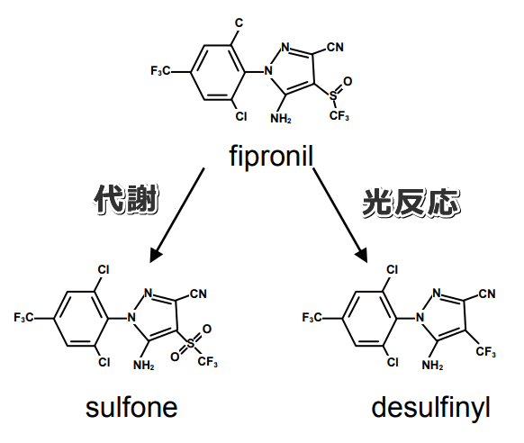 フィプロニルの代謝産物スルホンと光反応生成物デスルフィニルの分子構造