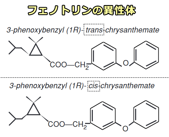 フェノトリン（スミスリン）の立体異性体「トランス」と「シス」