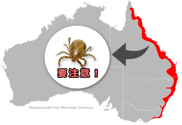 オーストラリアにおける「オーストラリア麻痺ダニ」(Ixodes holocyclus)の生息域マップ