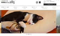保護猫カフェ285・ホームページ