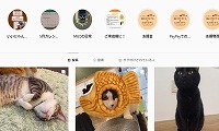 猫カフェC・F・D・Instagram