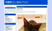 保護猫カフェAelu・ブログ