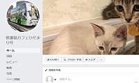 保護猫カフェひだまり号・Facebook