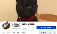 保護猫カフェ猫待ち・Facebook