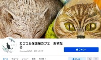 保護猫カフェあすなろ・Facebook