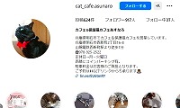 保護猫カフェあすなろ・Instagram