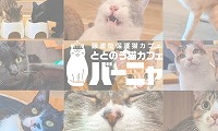 ととのう猫カフェバーニャ・ホームページ