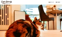 譲渡型猫カフェCAIT SITH・ホームページ