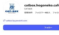 CAT BOXほごねこかふぇ・Instagram