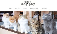 猫cafe キャッチー・ホームページ