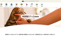 保護猫カフェCatete・ホームページ