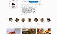 保護猫カフェcatloaf・Instagram