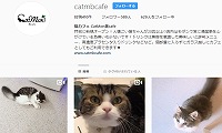Cat Mon 美cafe・Instagram
