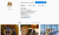 Cat of Liberty・Instagram