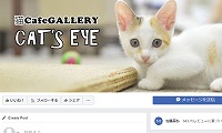 猫カフェギャラリーCat's EYE・Facebook