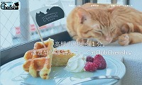 CatClubCherish・ホームページ