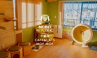 CAFE&CATS MOF MOF・ホームページ
