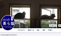 Catcafe美ら猫・Facebook