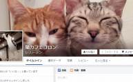 猫カフェコロンFacebook