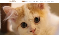 猫カフェcota・ホームページ