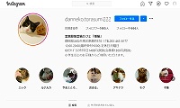 里親募集型猫カフェ暖猫・Instagram