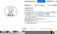 譲渡型保護猫カフェだんろ・Instagram