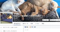 保護猫カフェDear Cat・Facebook