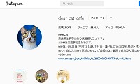 保護猫カフェDear Cat・Instagram