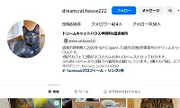 ドリームキャットハウス神明町・Instagram