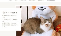 猫カフェnoa・ホームページ