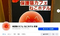 保護猫カフェ笑猫・Facebook