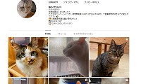 猫のへやエンジョイ・Instagram