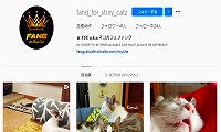 ネコカフェファング・Instagram