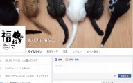 猫カフェ福ねこ・Facebook