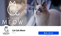 猫カフェMEOW・Facebook