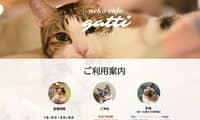 猫カフェGatti・ホームページ