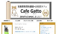 古民家Cafe Gatto・ブログ
