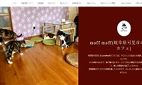 保護猫カフェmoff moff・ホームページ