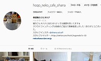 保護猫カフェオハナ・Instagram