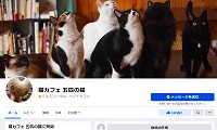 五匹の猫・Facebook