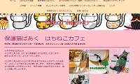 保護猫ぱあく はちねこカフェ・ホームページ