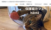 保護猫カフェhanta・ホームページ