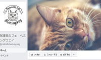 保護猫カフェヘミングウェイ・Facebook
