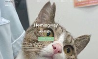 保護猫カフェヘミングウェイ・ホームページ