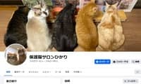 保護猫サロンひかり・Facebook