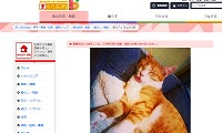 猫カフェ日なたの窓・ホームページ