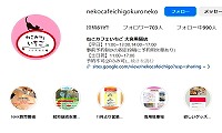 ねこカフェいちご見沼茶トラ店・Instagram