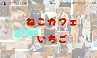 ねこカフェいちご見沼茶トラ店・ホームページ