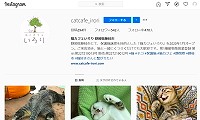 猫カフェいろり・Instagram